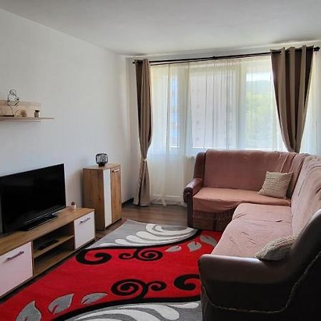 Apartament In Regim Hotelier Deva Bagian luar foto