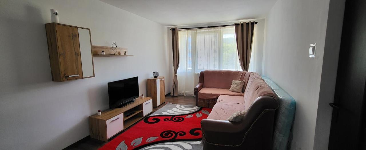 Apartament In Regim Hotelier Deva Bagian luar foto