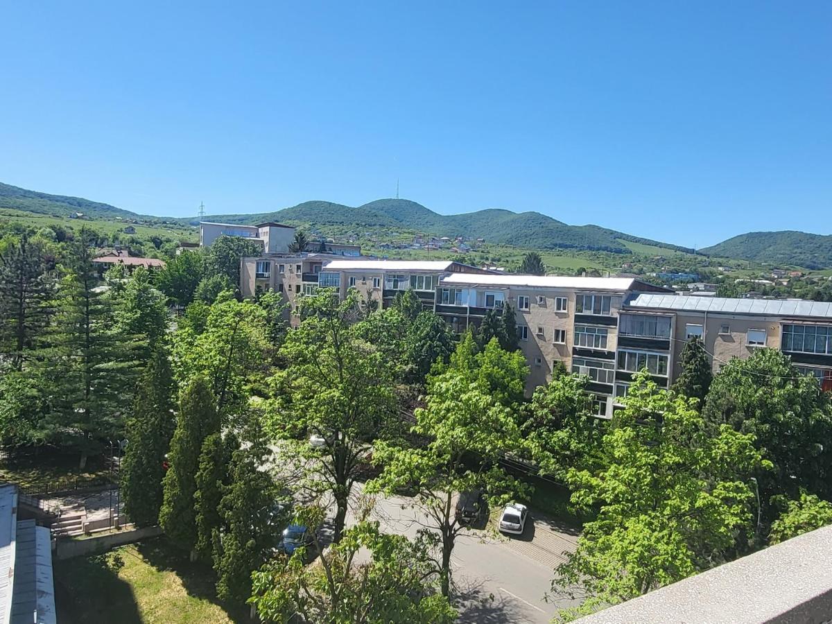 Apartament In Regim Hotelier Deva Bagian luar foto